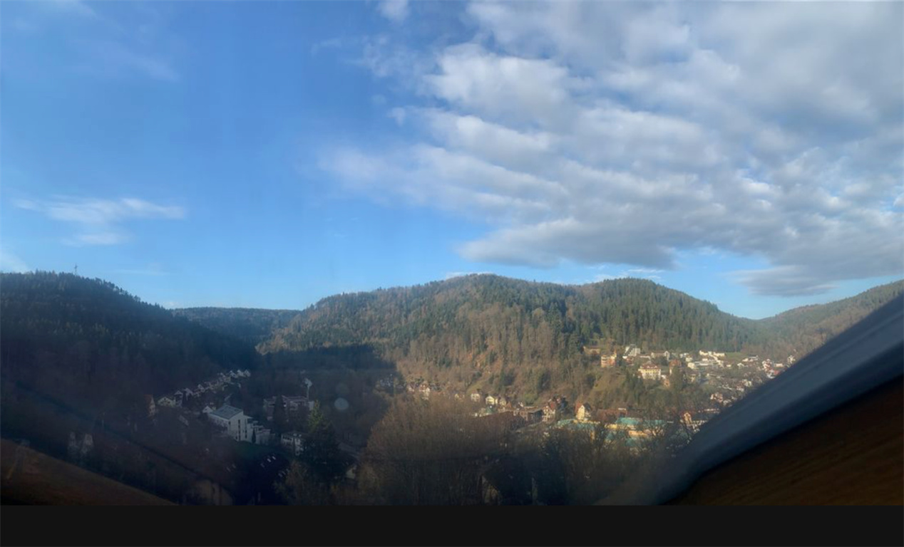 Wohnen, wo andere Urlaub machen – großzügige 1,5-Zimmerwohnung mit Balkon, 75378 Bad Liebenzell