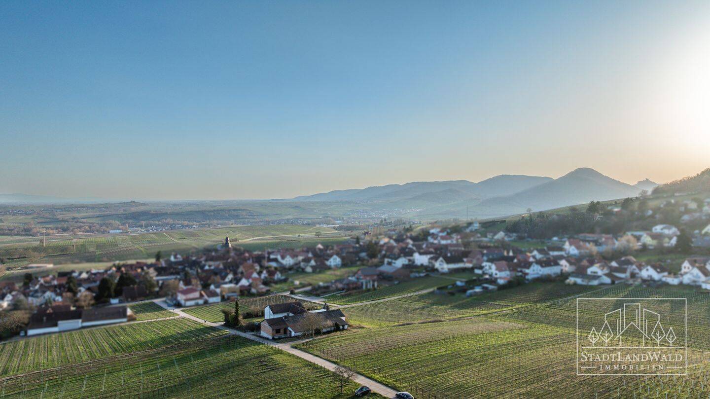 Leben über dem Rebenmeer – Ehemaliges Weingut in Alleinlage und Blick in die Rheinebene, 76833 Frankweiler