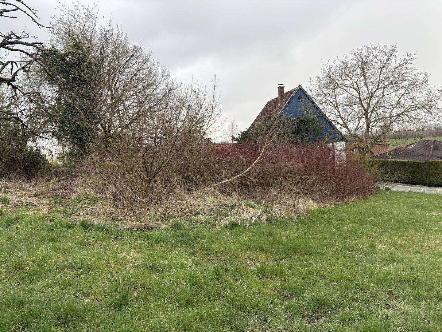 Grundstück mit Weitblick-hier ist alles möglich, 32805 Horn-Bad Meinberg