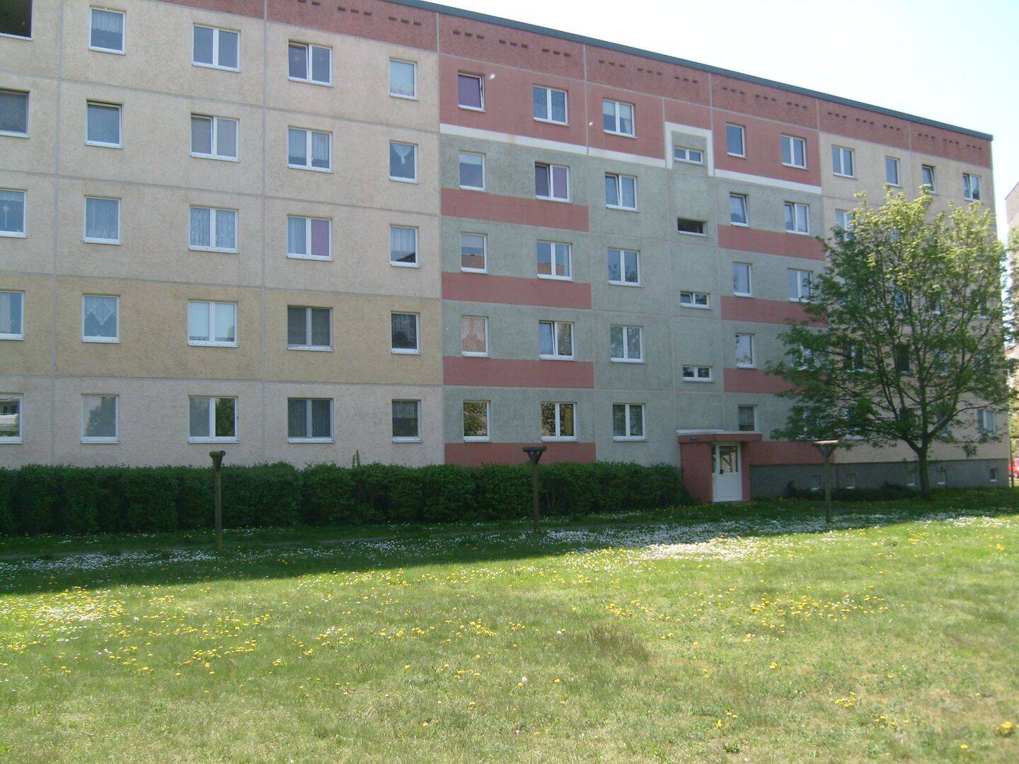 image-72347889