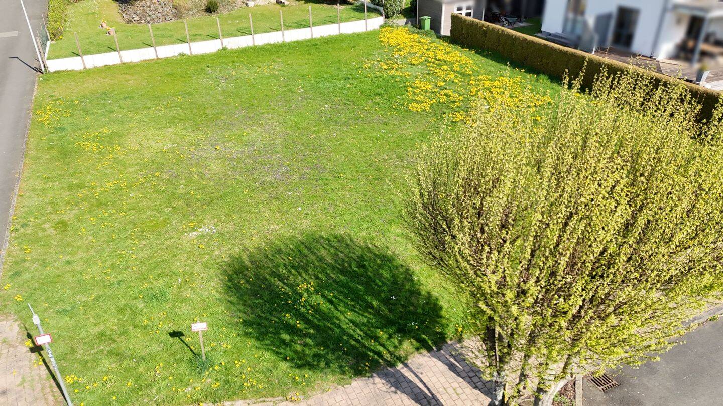 image-72359372