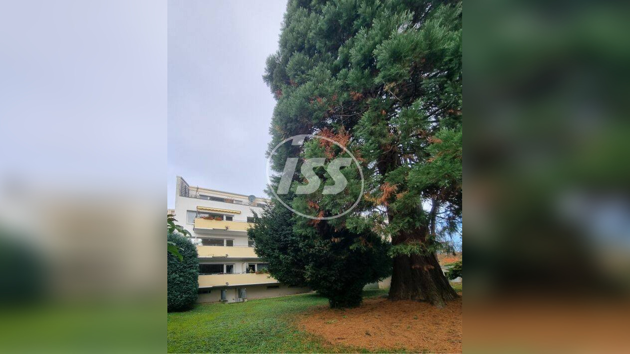 VERKAUF 299.000 € – Helle 3-Zimmer-Eigentumswohnung – Leerstand – 53179 Bonn – Vorschaubild 4