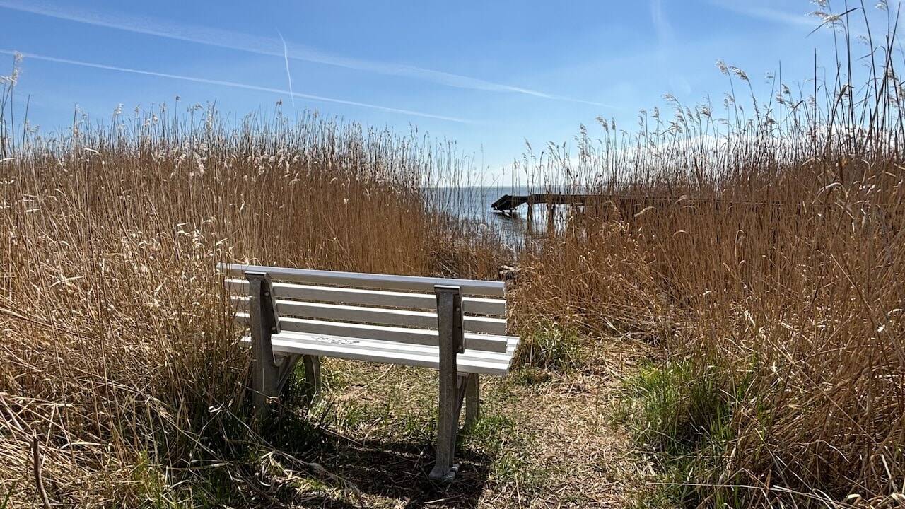 Geheimtipp am Wasser, 17440 Krummin