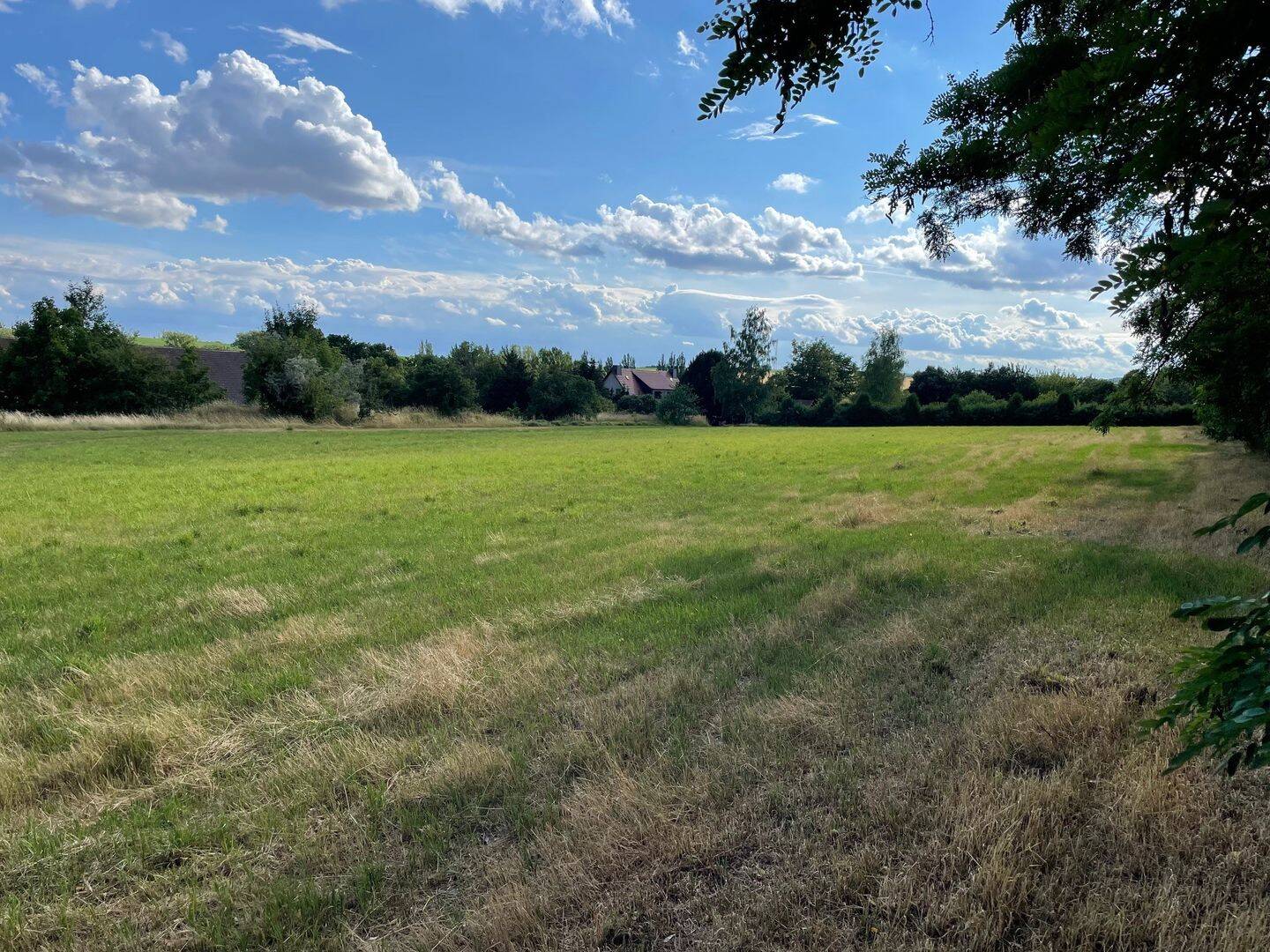 Baugrundstück in ruhiger Lage – Platz für bis zu drei Einfamilienhäuser in Querfurt OT Schmon, 6268 Querfurt