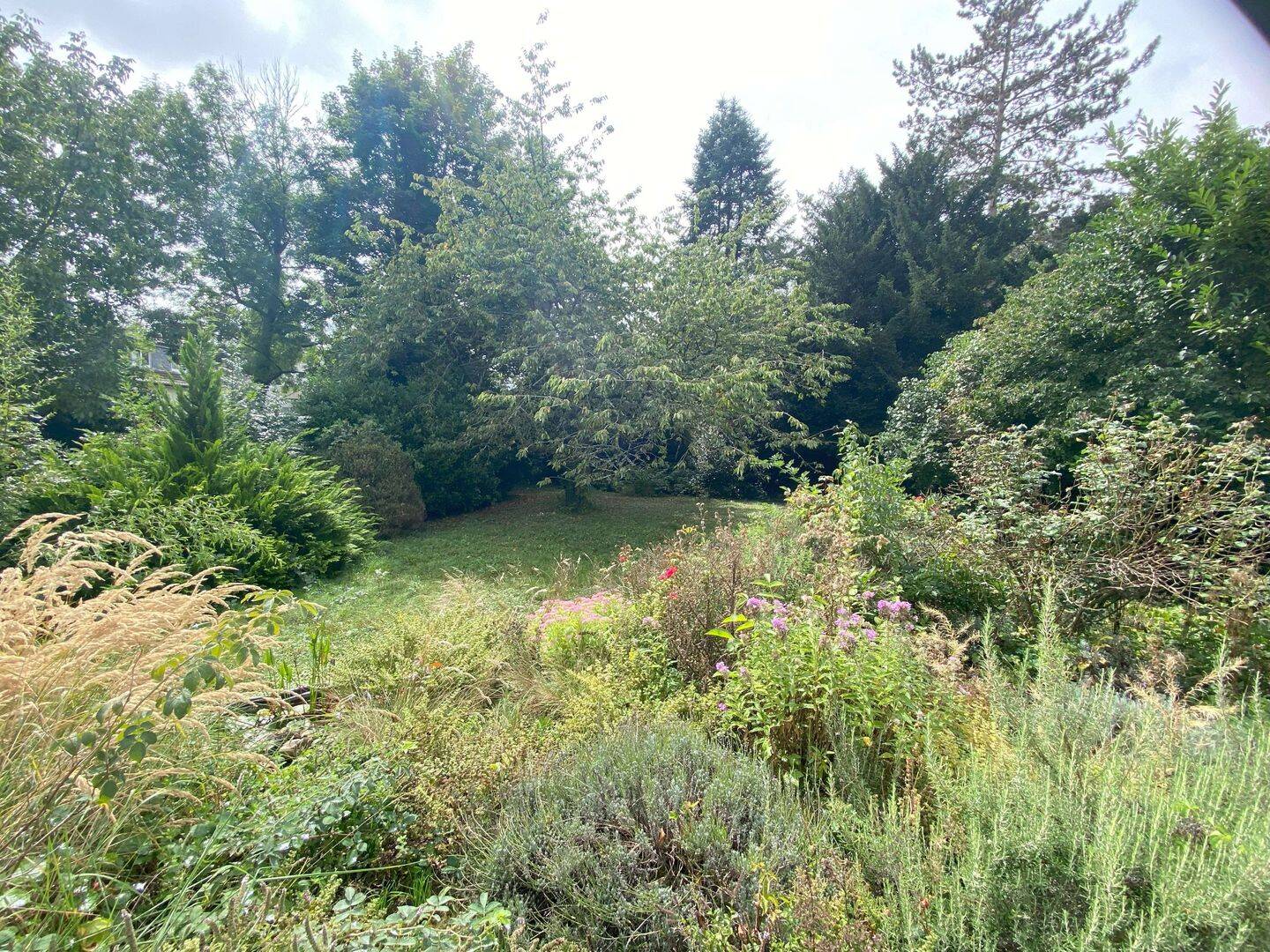 Charmantes Dreifamilienhaus mit großem Garten in Bestlage von Bad Homburg, 61352 Bad Homburg v.d. Höhe