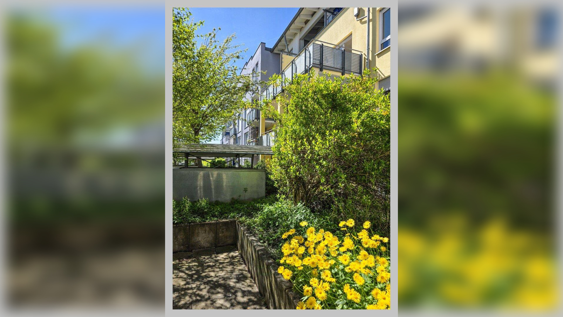 2-R-W, Balkon, 2.OG, Fahrstuhl, 99427 Weimar