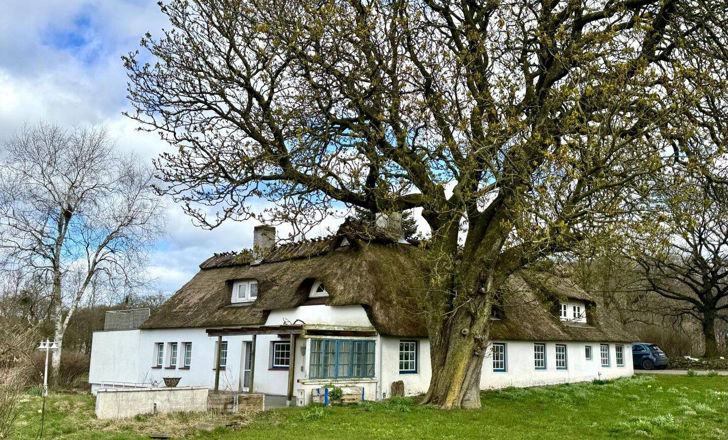 Ansprechendes Reetdach-Haus mit Einliegerwohnung, 24975 Husby