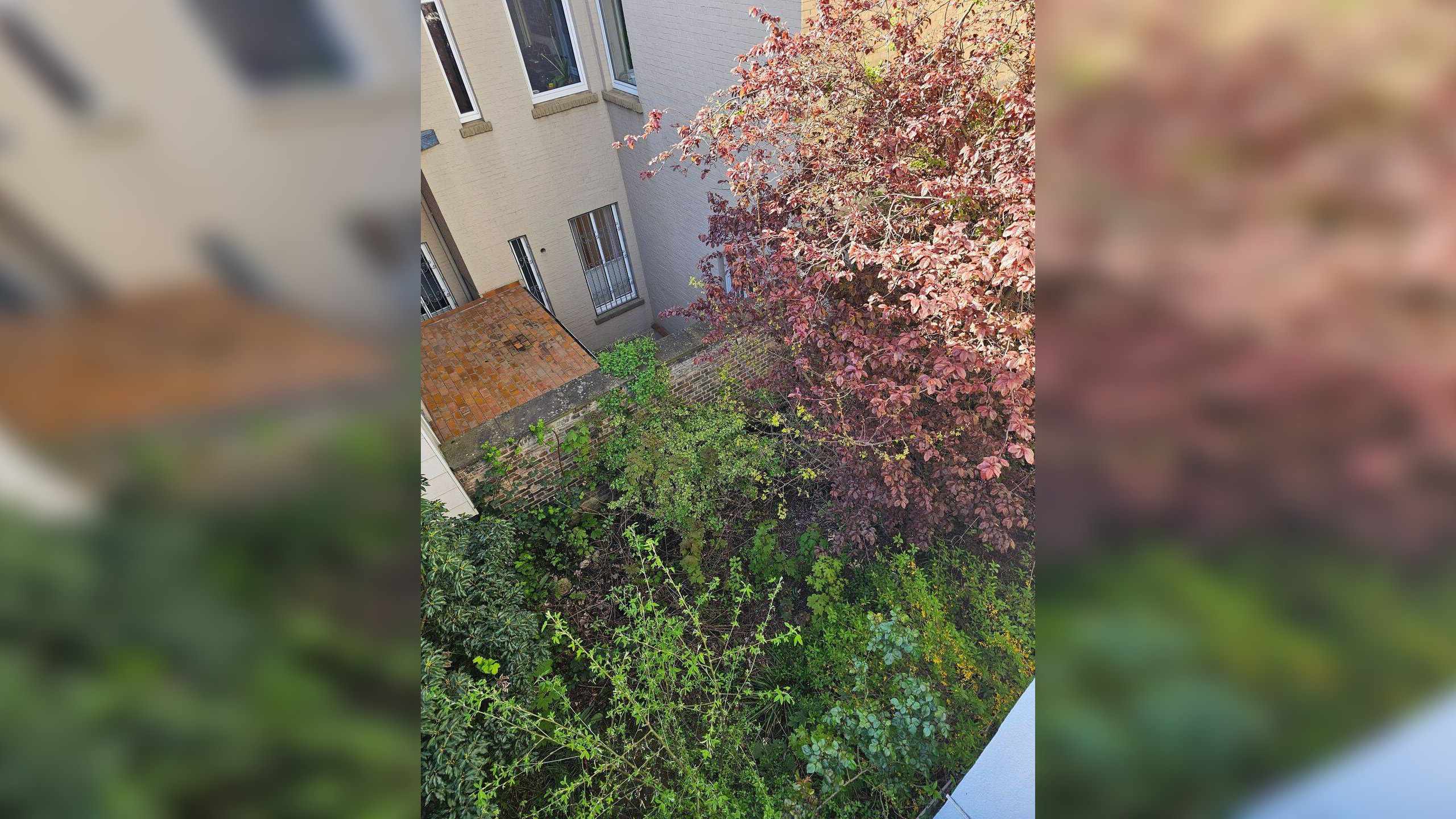 WOHNUNG AM SCHLOSS MIT EIGENEM GARTEN – SANIEREN & EINZIEHEN! – 38102 Braunschweig – Vorschaubild 4