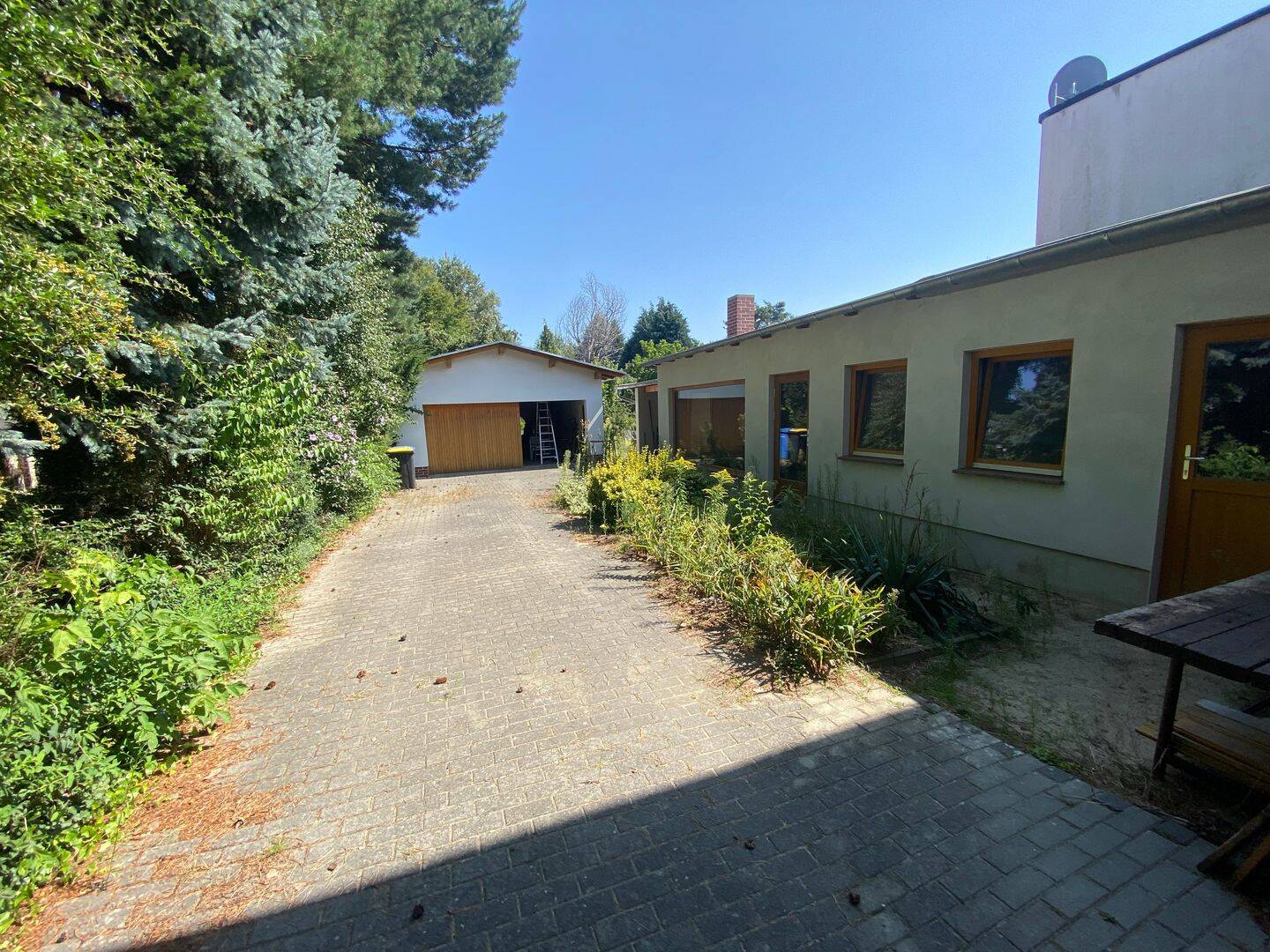 image-72500595