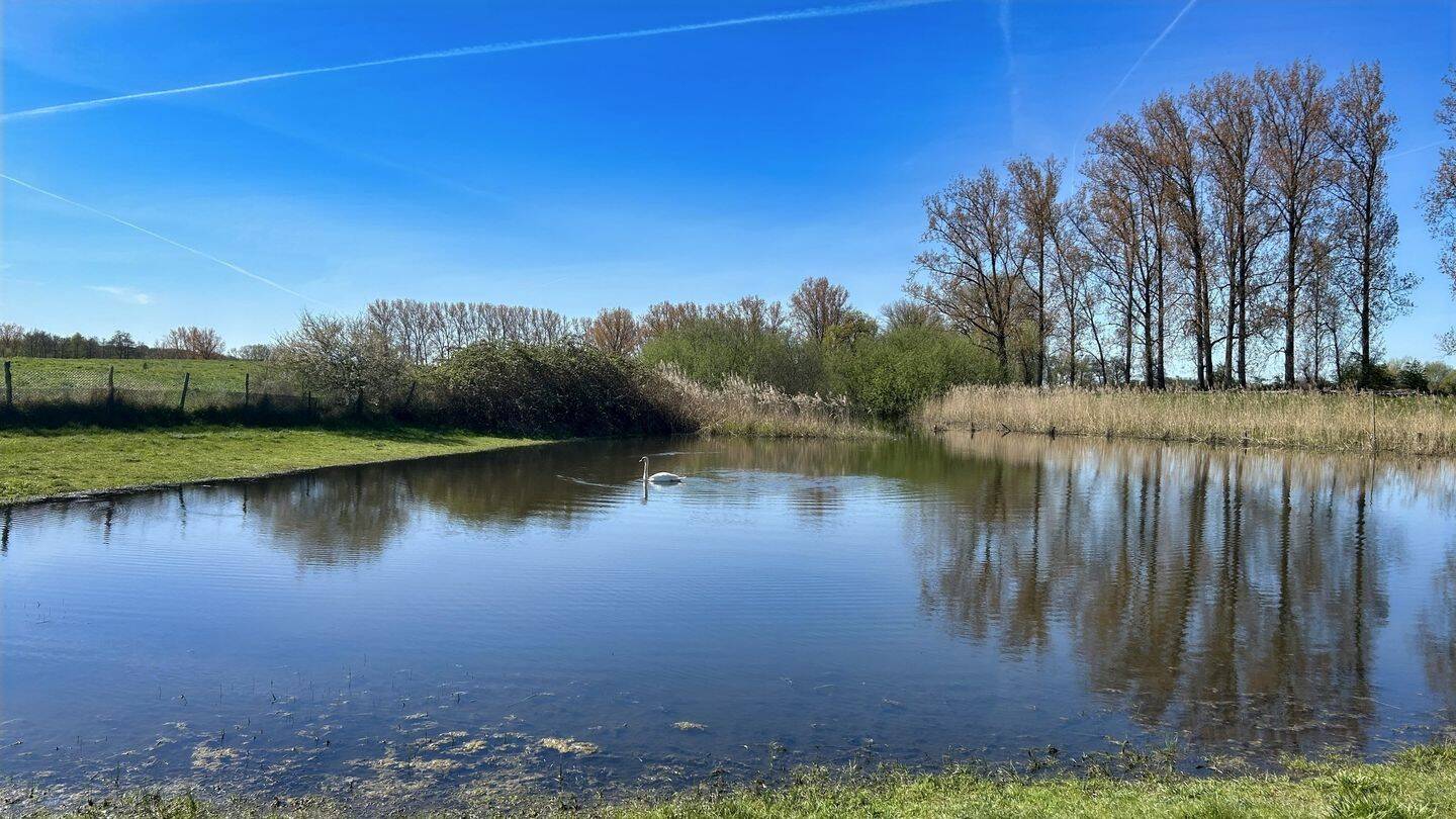 Natur- und Wasseridylle mit Potenzial, 23942 Dassow