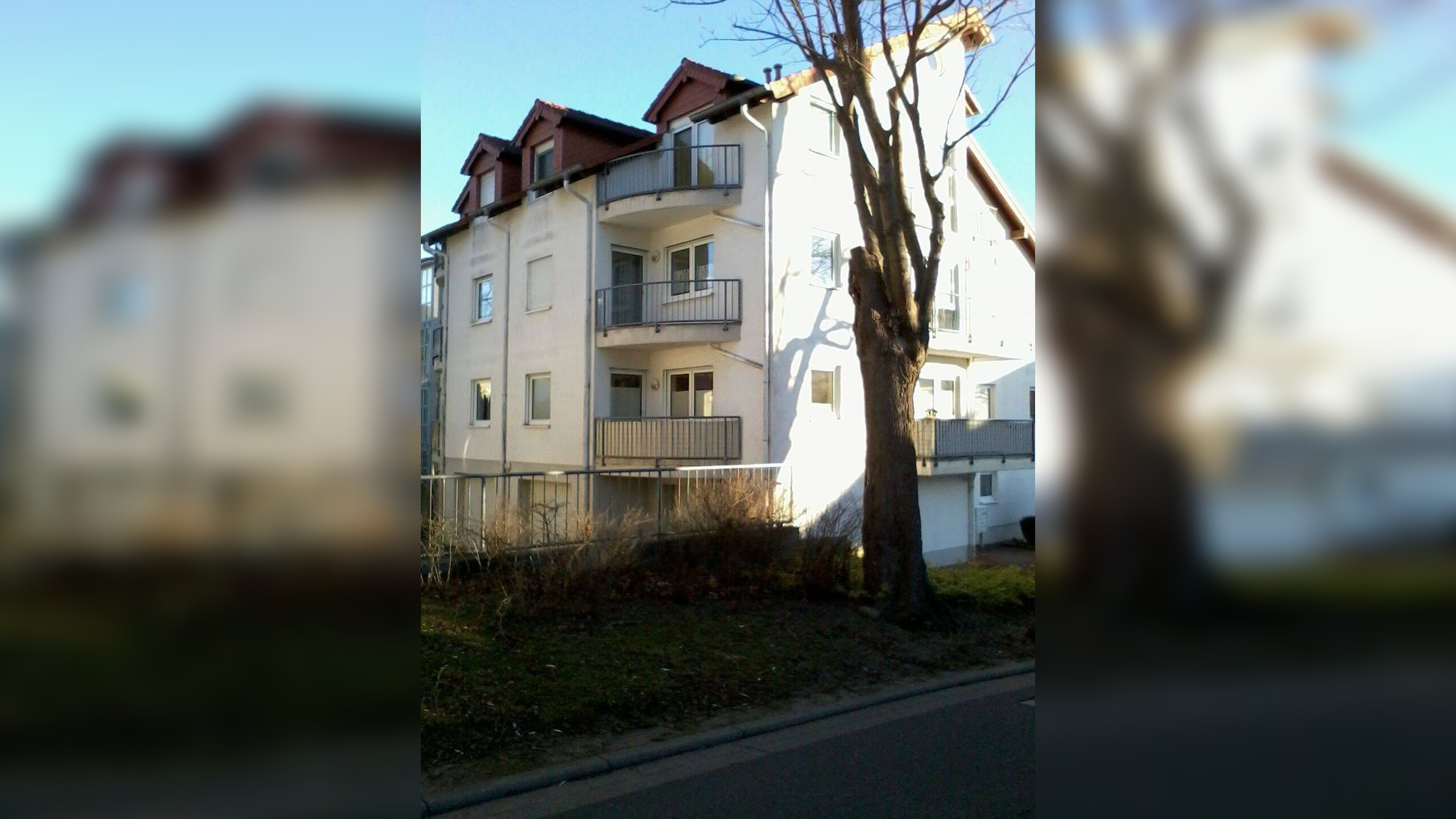 image-72631447