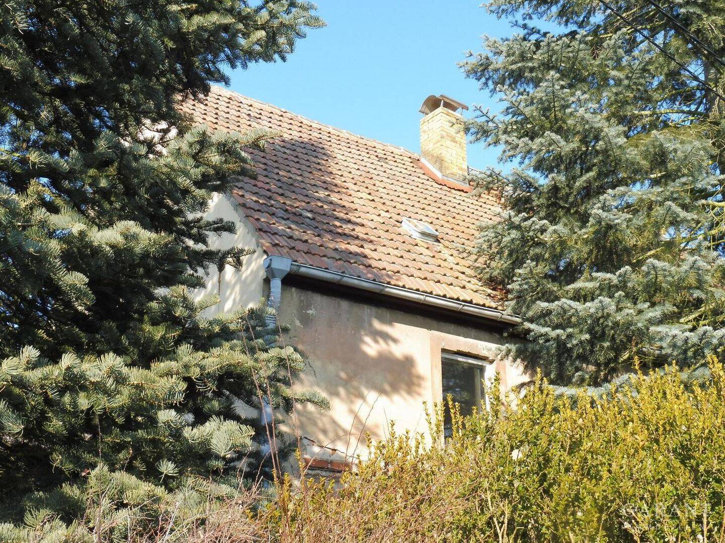 Ländliche Idylle in Nordsachsen, 4874 Belgern-Schildau