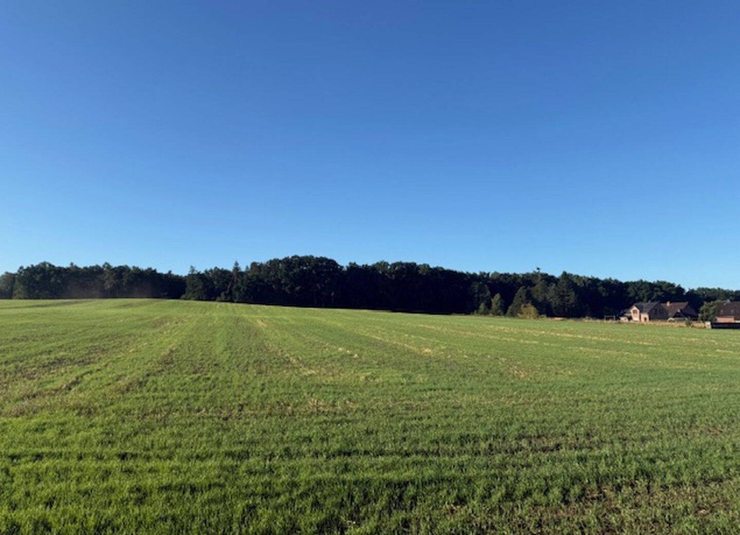 Neues Baugebiet in Bispingen, zentrale Lage, 29646 Bispingen