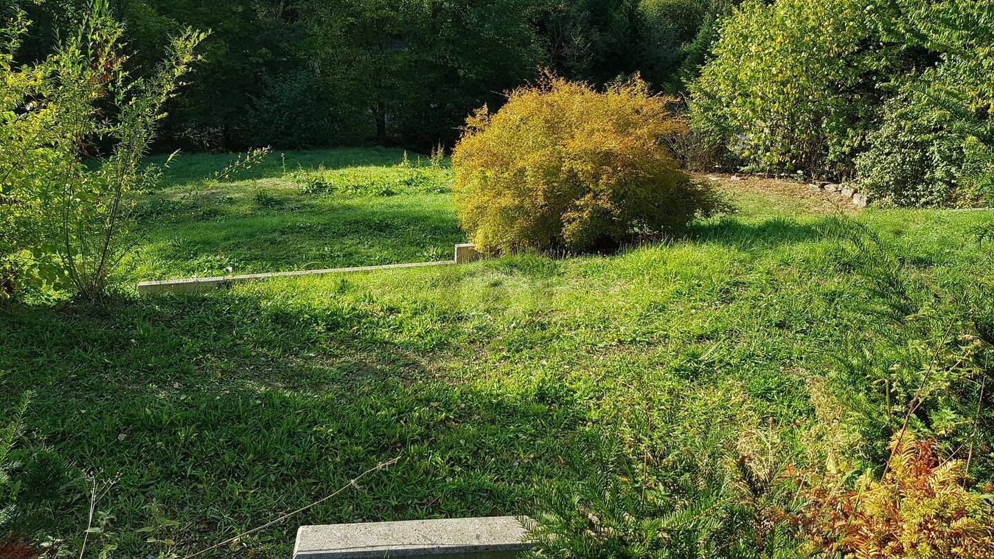 image-72686000