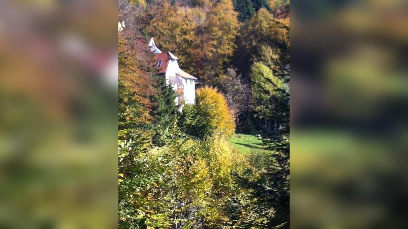 Idyllisches Wohnen in Jugendstilvilla,…dort wo andere Urlaub machen., 79429 Malsburg-Marzell