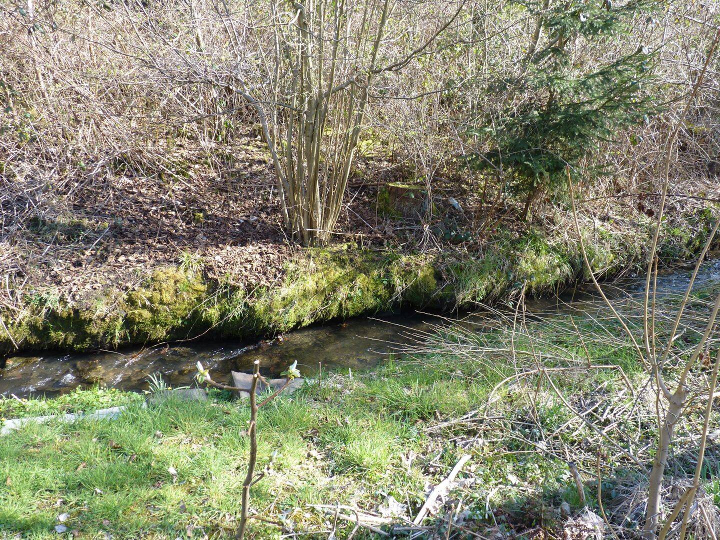 Bachufergrundstücke am Dresbach und ein kleines Stück Mischgebietsfläche (gemäß FNP) in Overath-Untereschbach, 51491 Overath