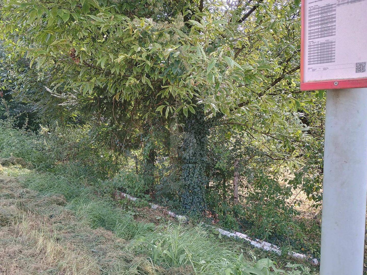 IDYLLISCH, VIEL PLATZ FÜR IHR PROJEKT, 66663 Merzig