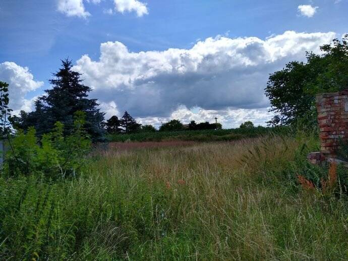 image-72725785