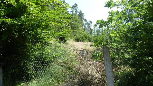 Zwei Ferienhäuser in Traumhafter Lage am Waldesrand, 98597 Fambach