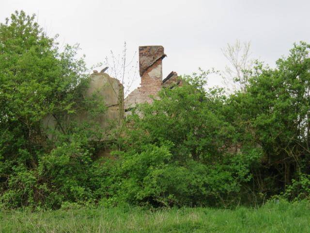 Rabatt für Kurzentschlossene – Der Platz für Ihr Traumhaus, 39387 Oschersleben (Bode)