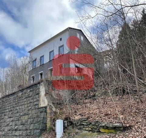 Familientraum mit Garten, Pool und viel Platz im Herzen von Greiz, 7973 Greiz
