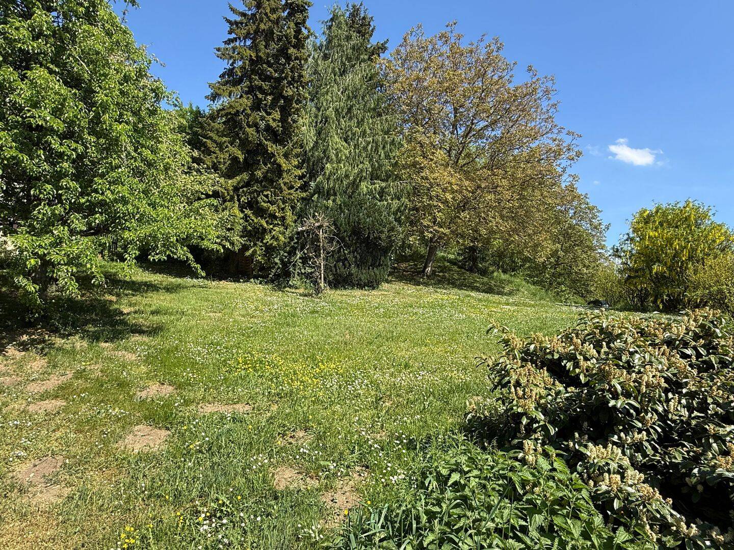 image-72746773