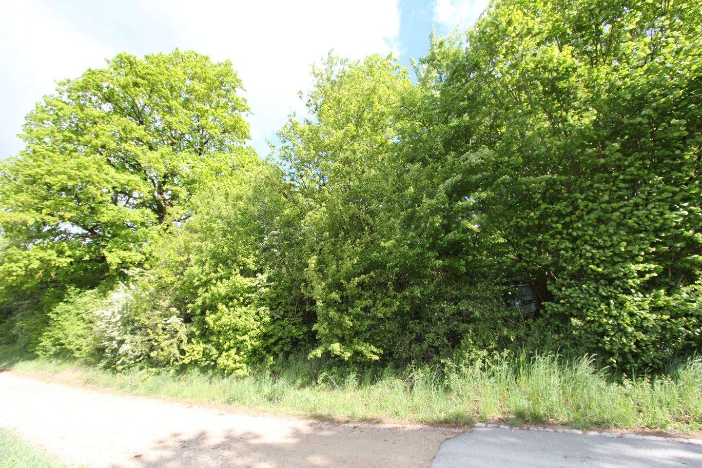 Attraktives Baugrundstück in Altdorf b. Nürnberg – 492 m², Südlage, unverbaubarer Blick, 90518 Altdorf b. Nürnberg
