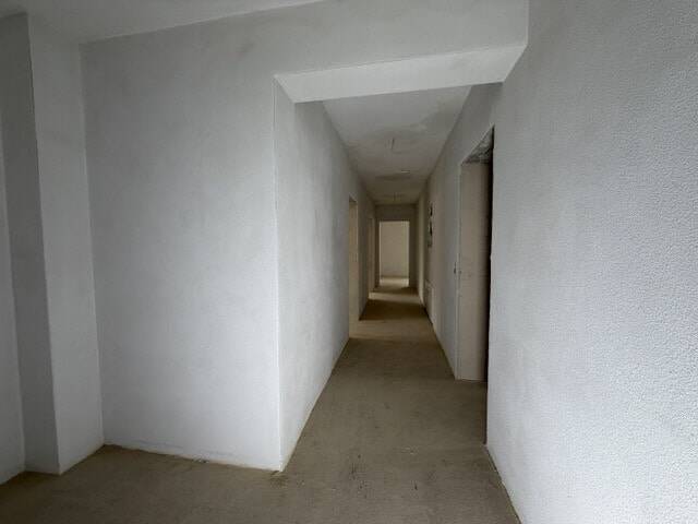 image-72753845