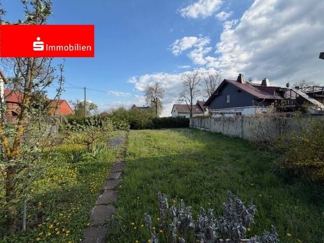 image-72758706