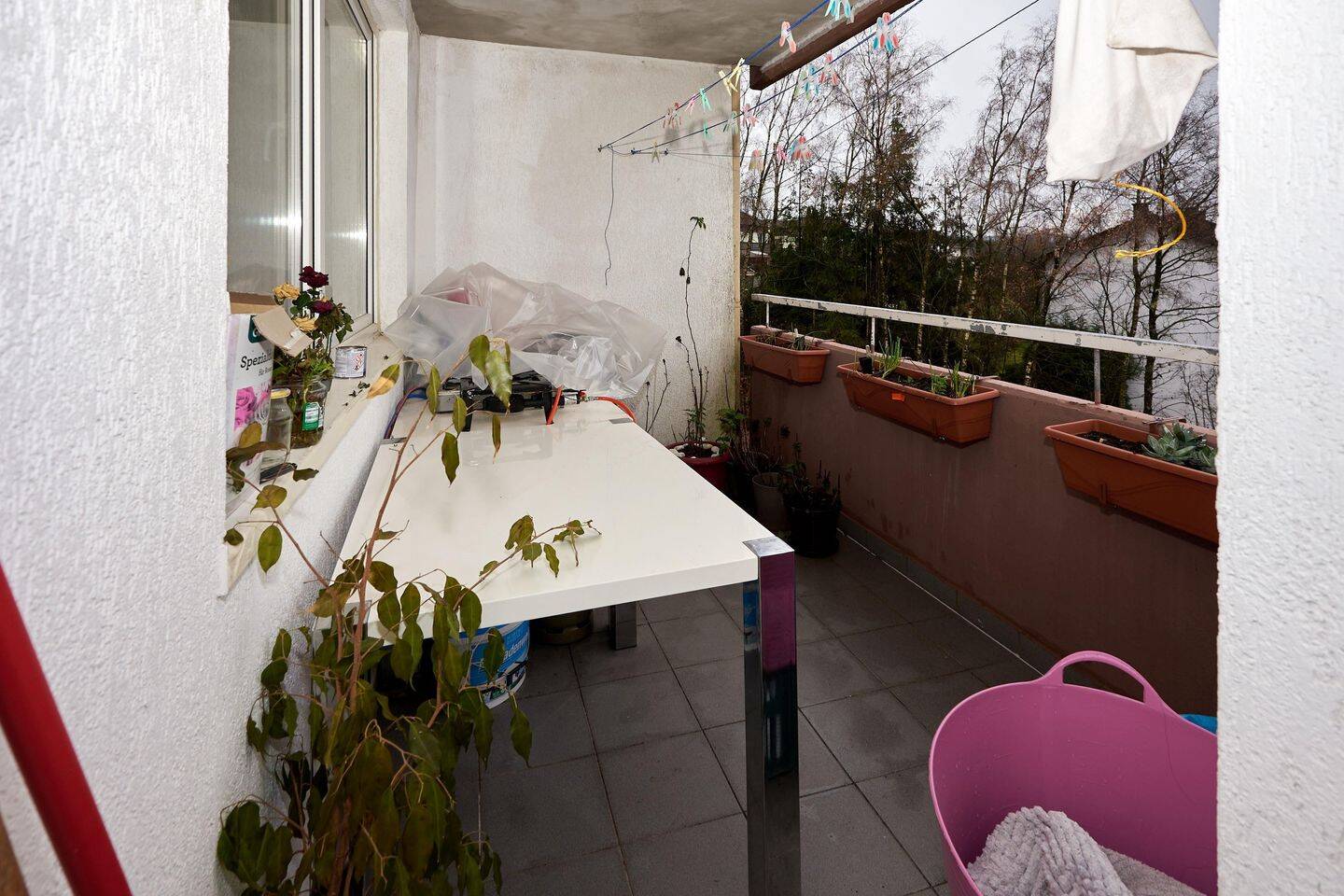 image-72770021
