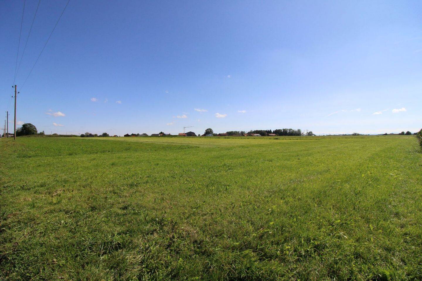 Zwei schöne Grundstücke für landwirtschaftliche Nutzung in vorteilhafter Lage in Unteregg, 87782 Unteregg