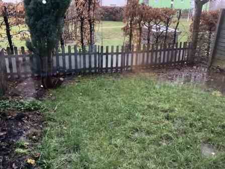 image-72788618