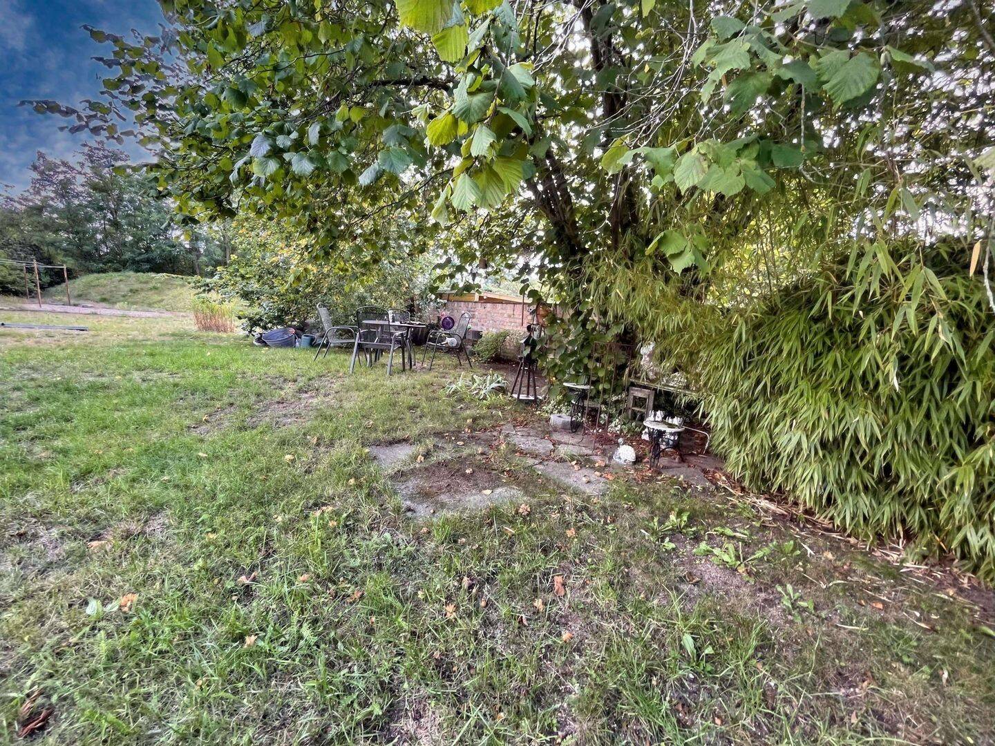 image-72801250