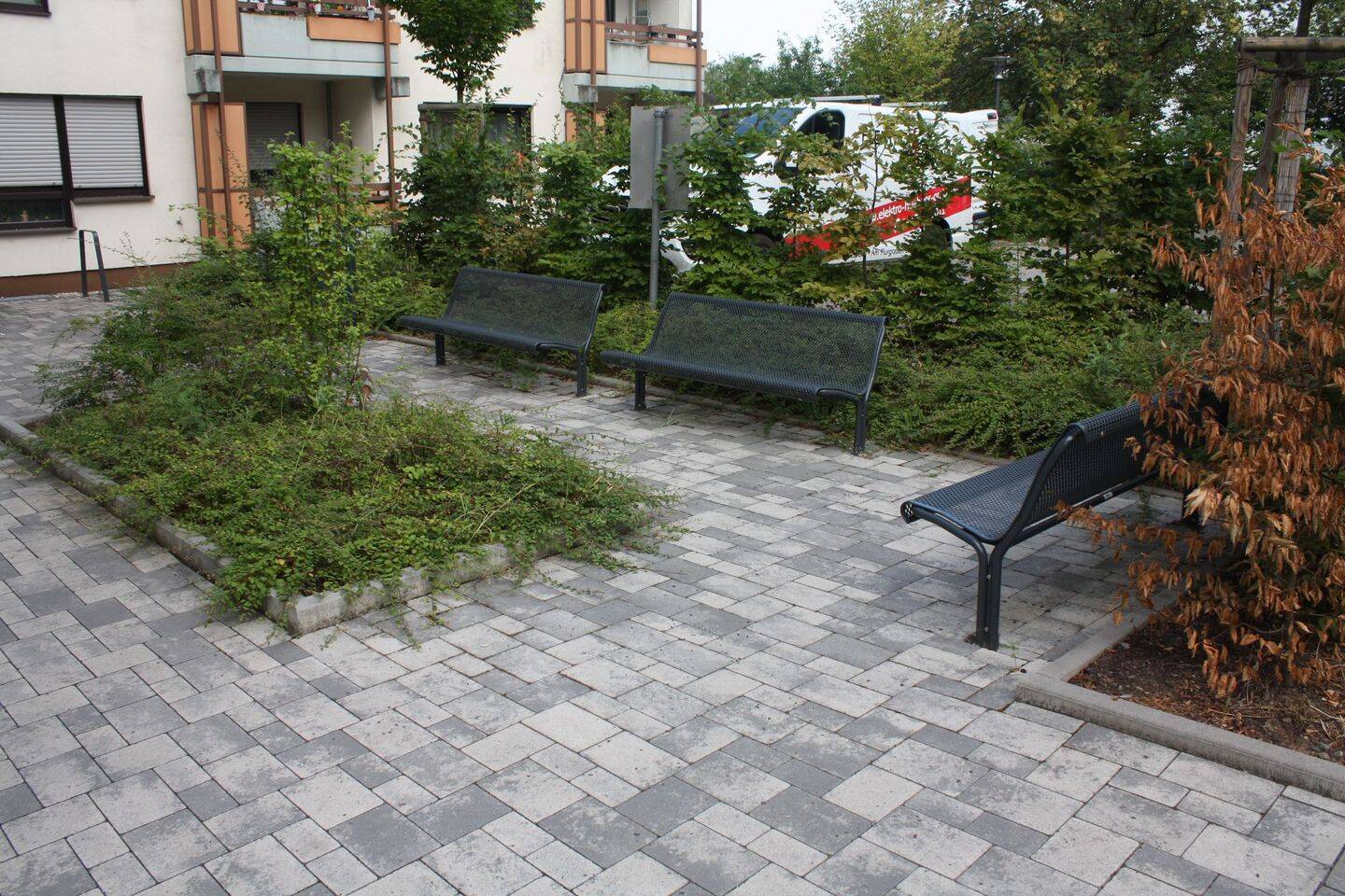 image-72817089