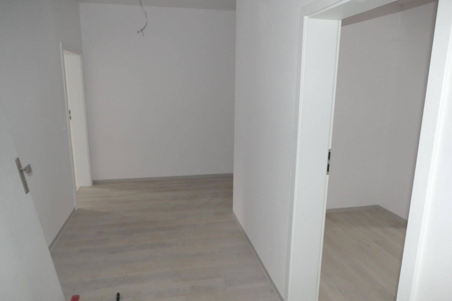 image-72817111