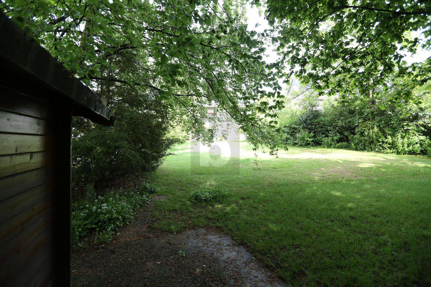 image-72819179
