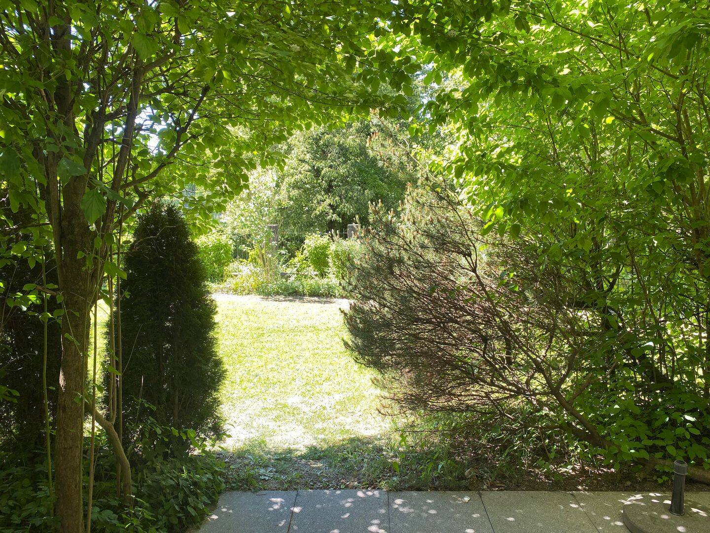 image-72821262