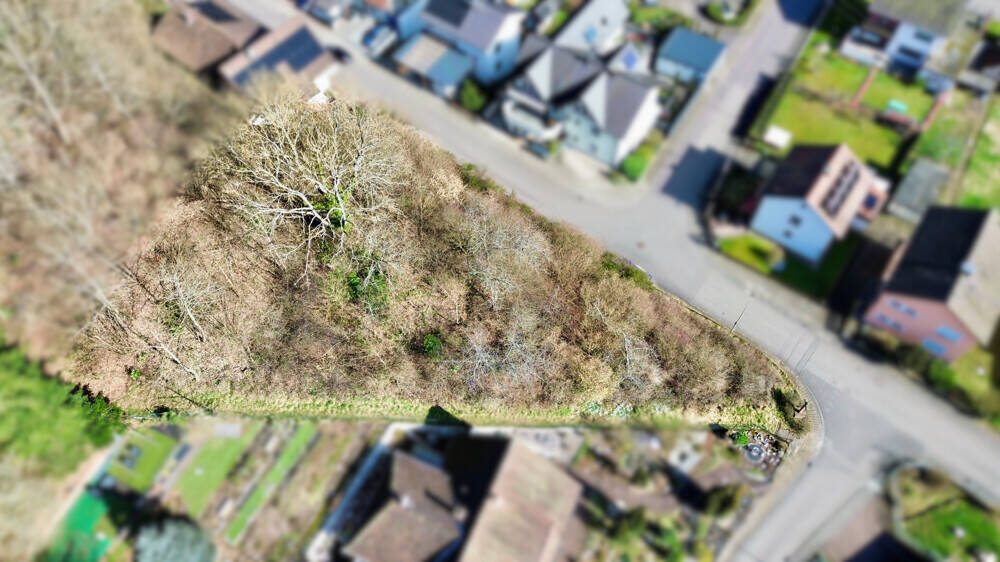 Ruhig gelegenes Baugrundstück mit 1.494 m² – flexible Bebauungsmöglichkeiten in Ramberg, 76857 Ramberg (Taubensuhl)