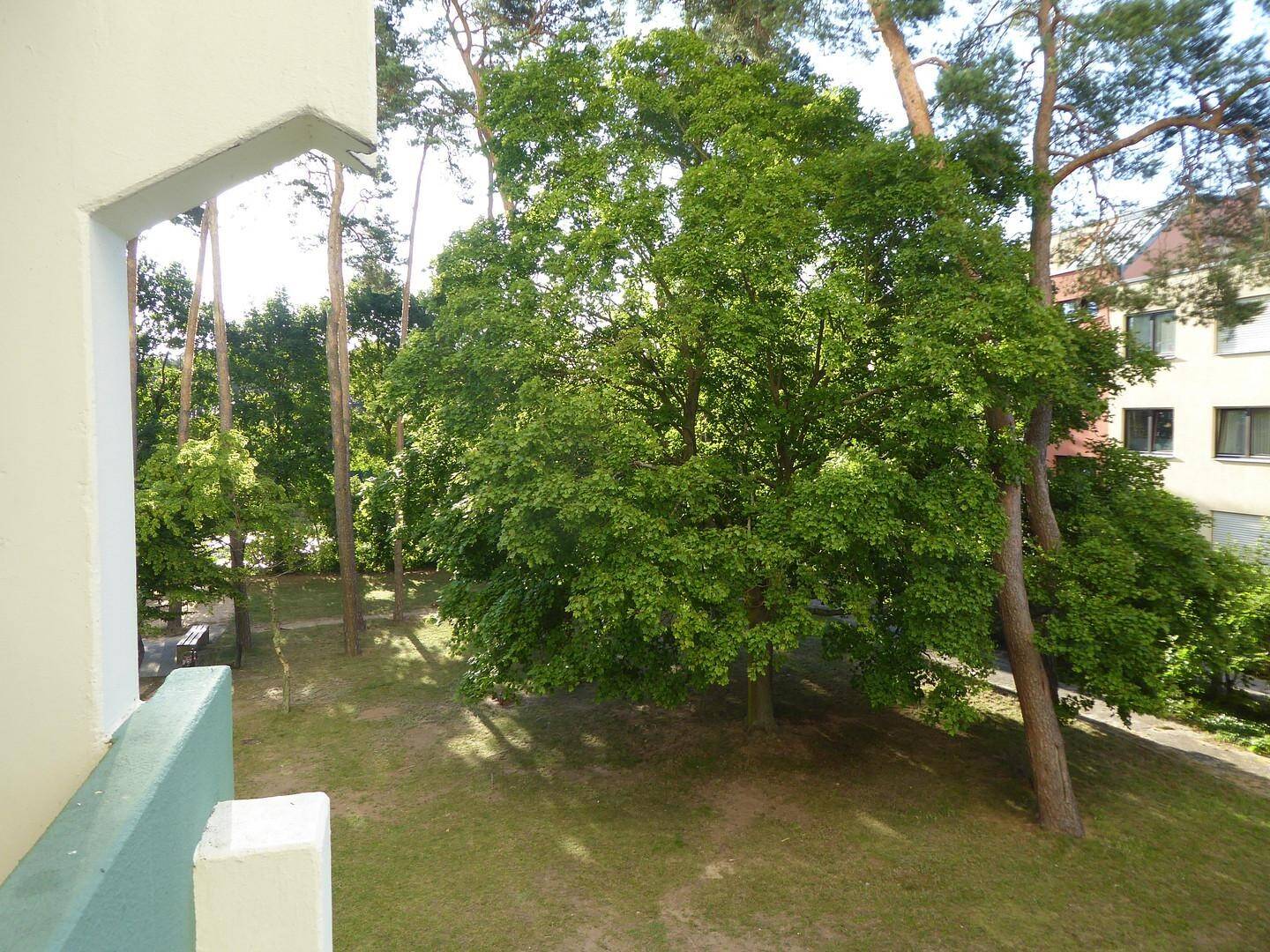 image-72829573