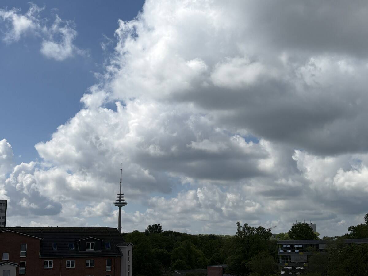 image-72829796