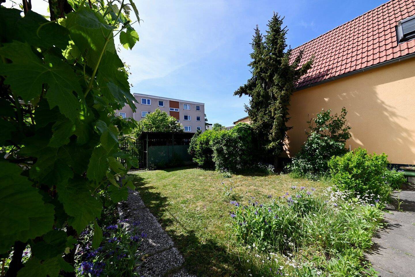 Bild 5