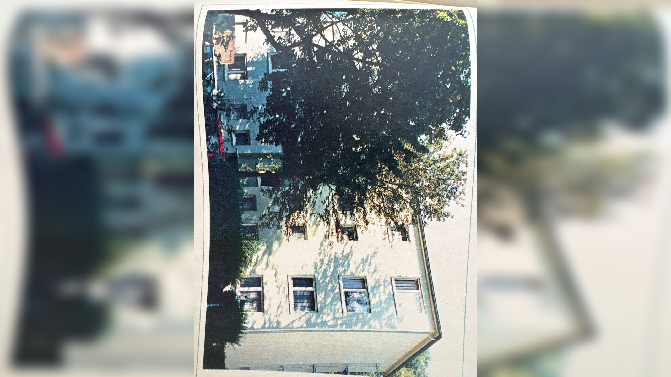 image-72832451