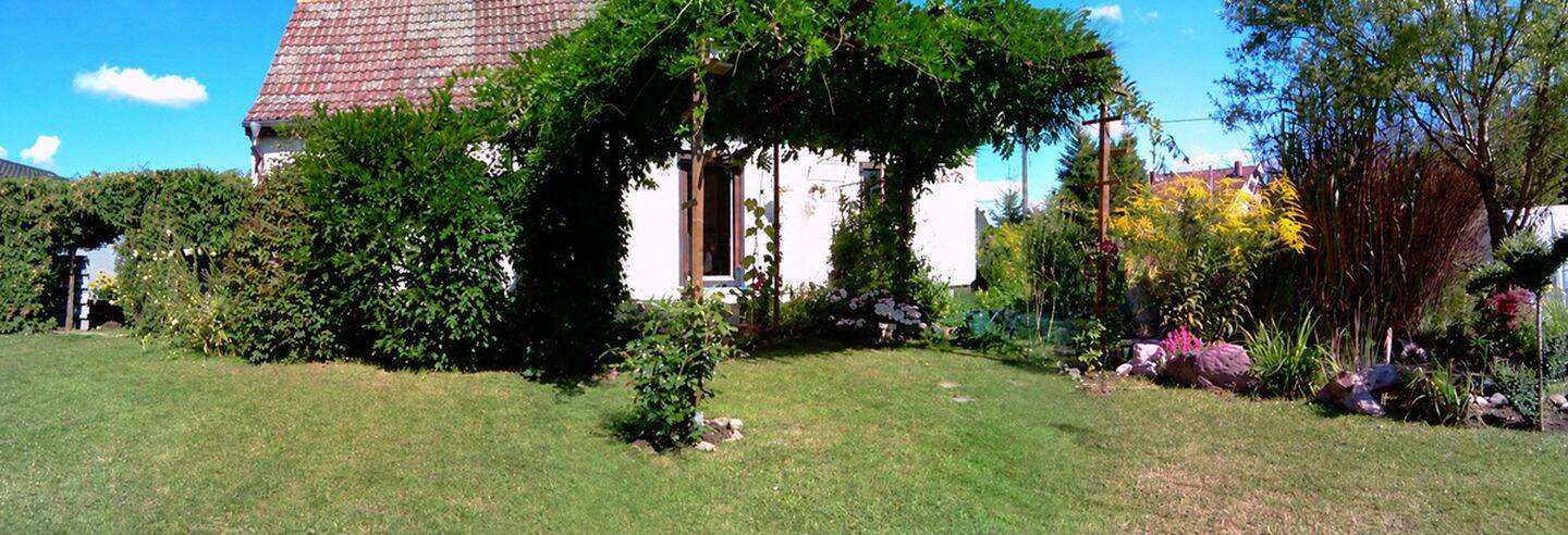 image-72833125