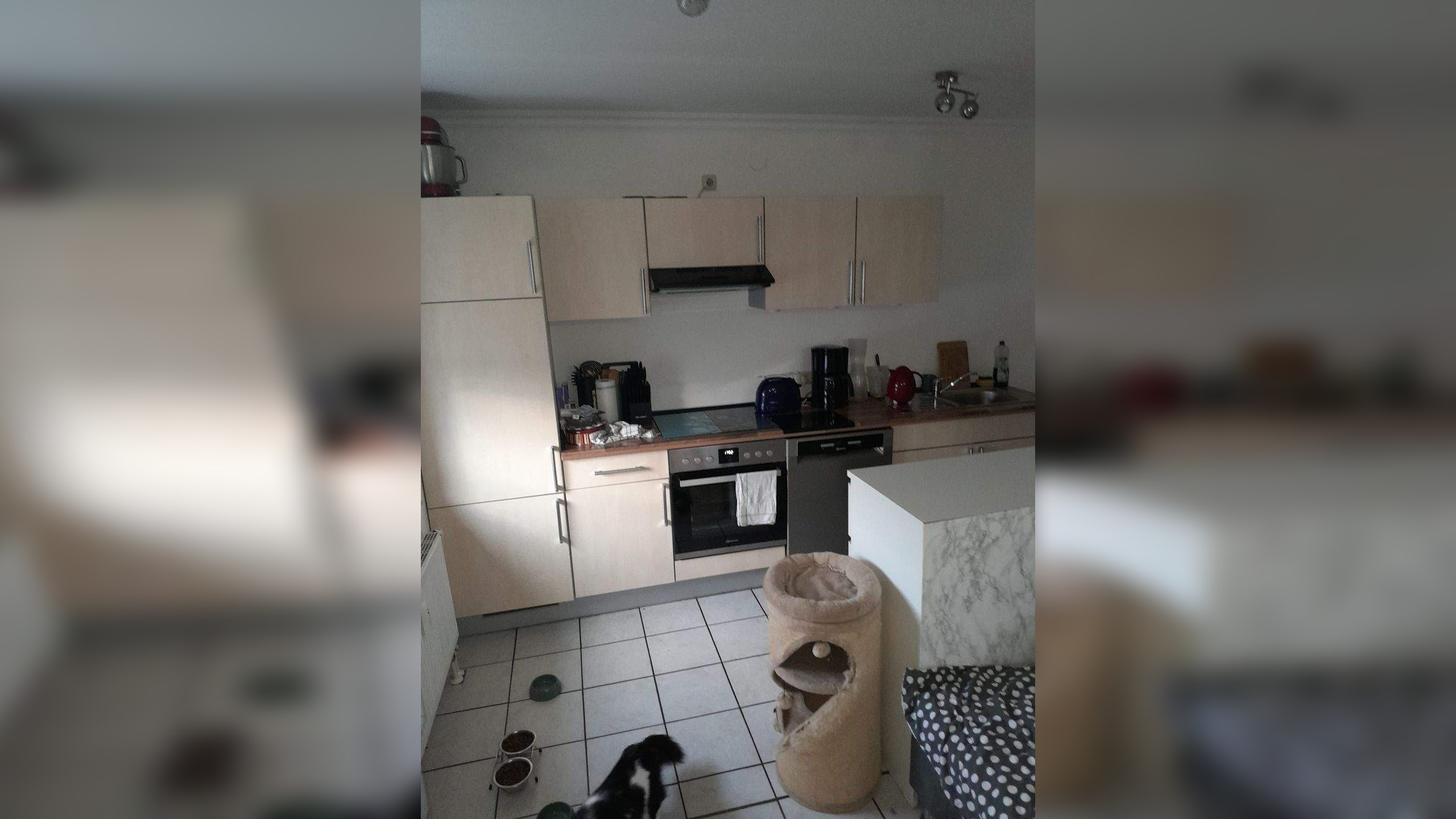 Gemütliche 2 Zimmer Wohnung, 52477 Alsdorf
