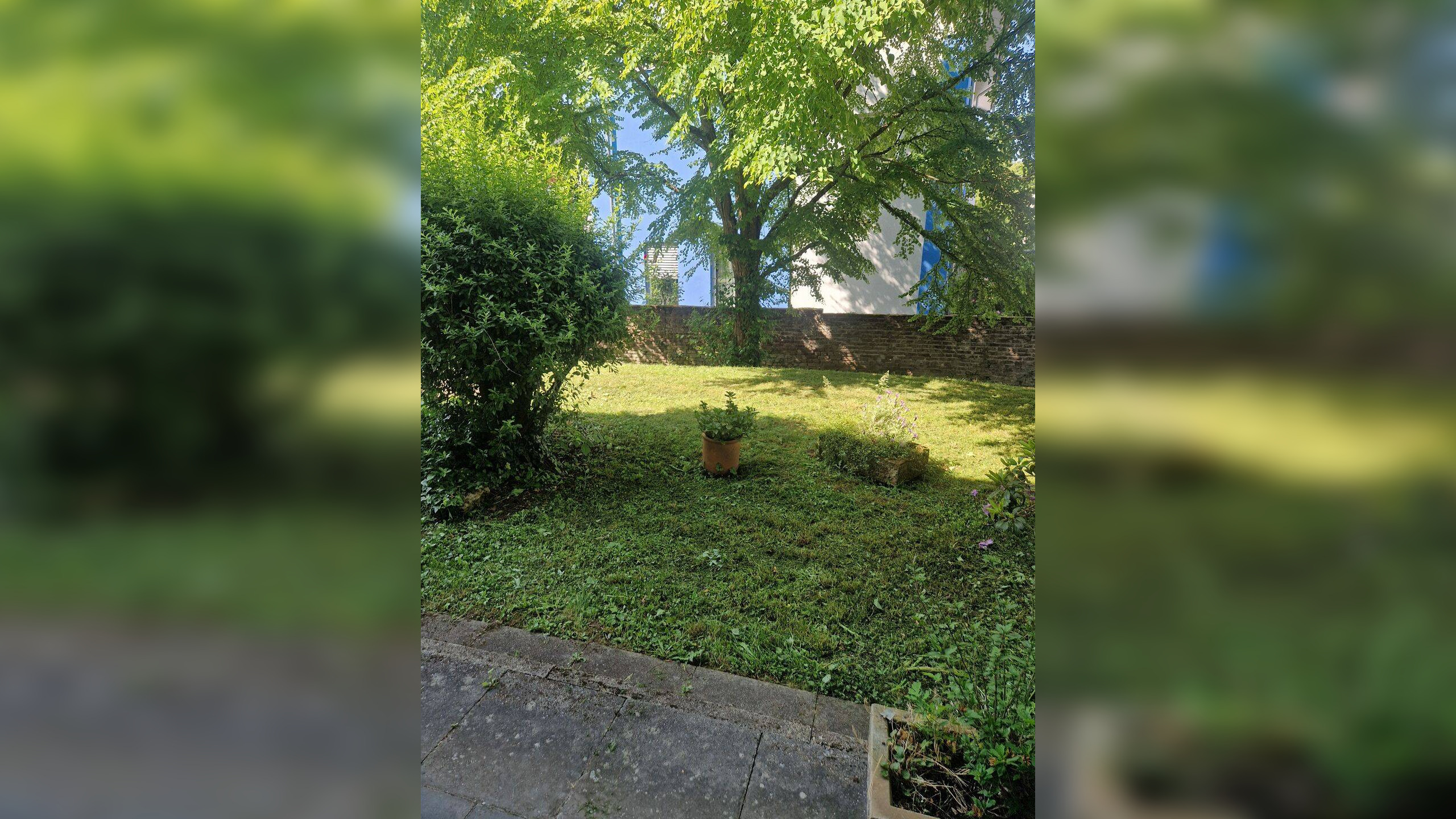 Schöne renovierte 3-ZKB mit Terrasse (EG) im Maarviertel – 54292 Trier – Vorschaubild 3