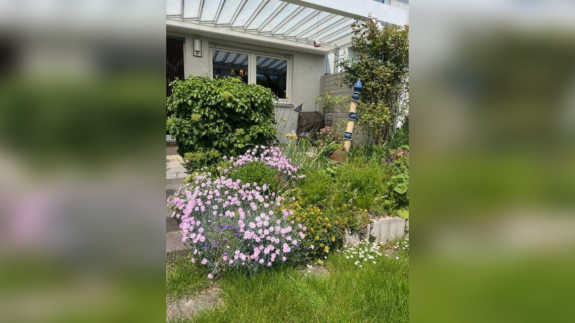 Bild 12