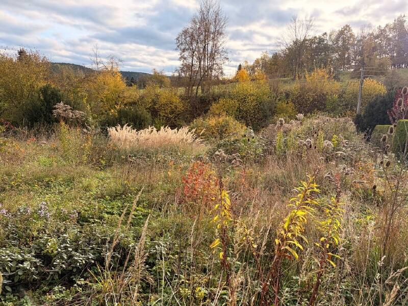 Baugrundstück in Jena und Umgebung gesucht – 500€ Vermittlungsprämie! – 7743 Jena – Vorschaubild 3