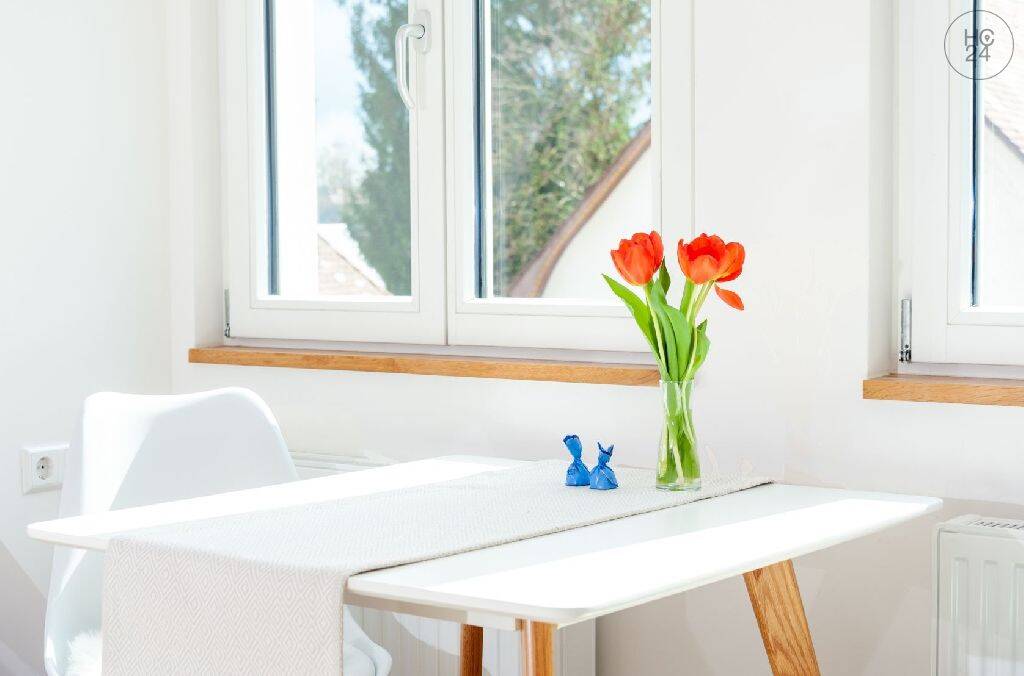 modern möblierte City Wohnung in unmittelbarer Nähe der Ehinger Parkanlage – 89077 Ulm – Vorschaubild 3