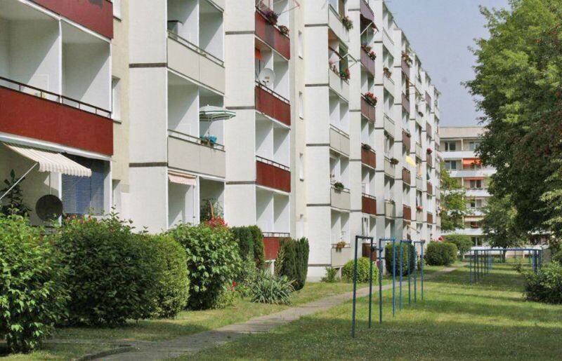 #richtigjut…ruhig und im Grünen wohnen – frisch saniert zum 01.09. – Magdeburg – Vorschaubild 3