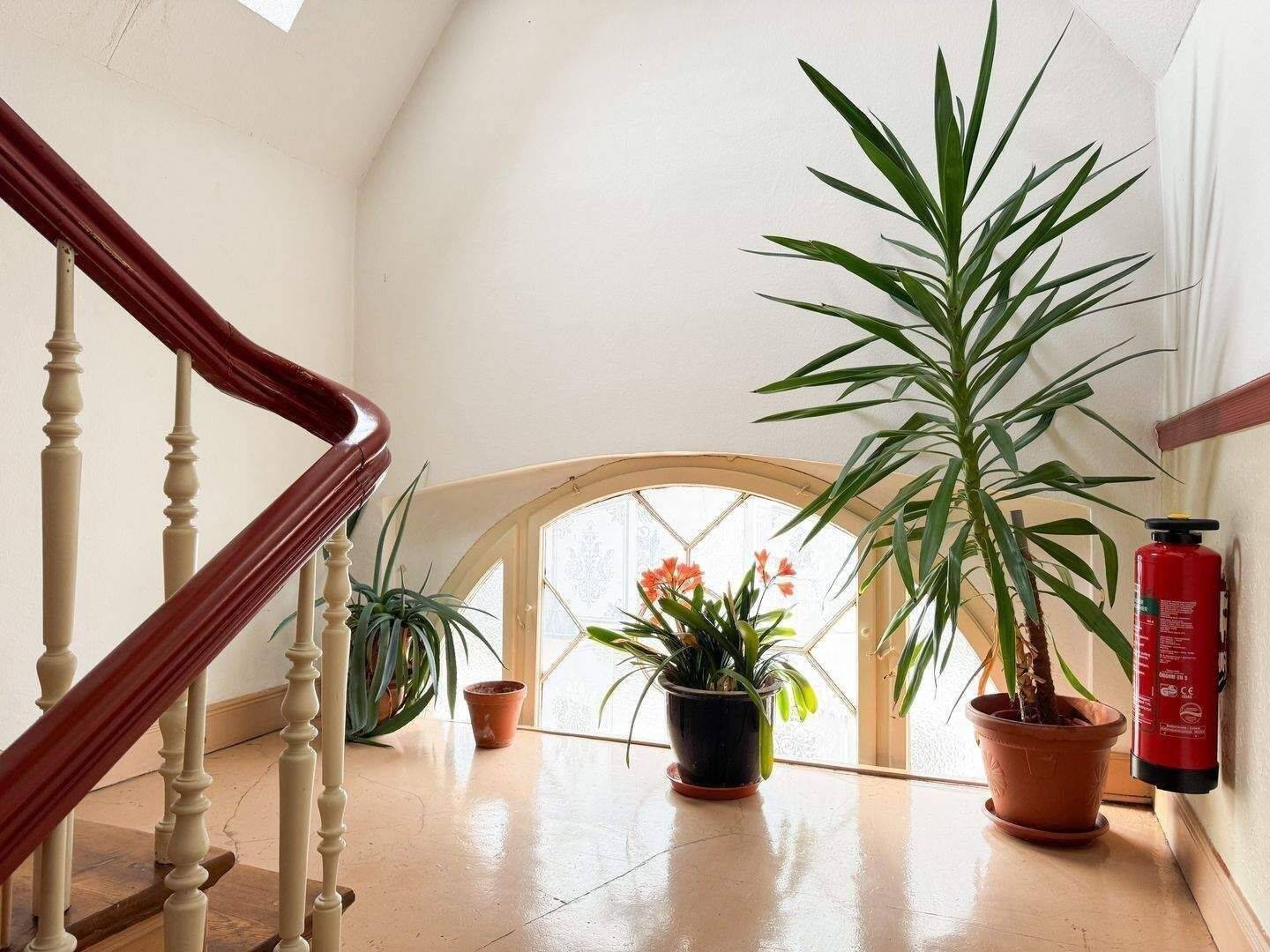 Einzigartige Dachgeschosswohnung im schönen Stadtteil Vorderer Westen – 138 m² Nutzfläche – 34119 Kassel – Vorschaubild 3